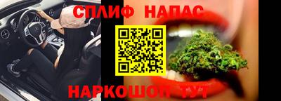 гашик Кандалакша