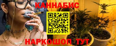 гашик Кандалакша
