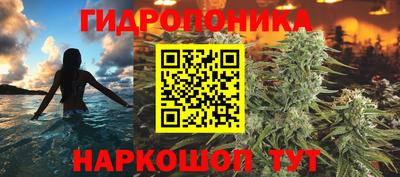 тгк Камышлов