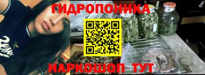 гашик Кандалакша