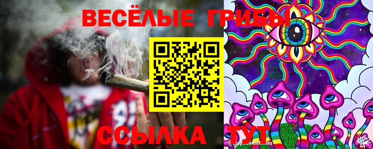 Галлюциногенные грибы Magic Shrooms  Галлюциногенные грибы Psilocybine cubensis  Краснознаменск  Вход с VPN 